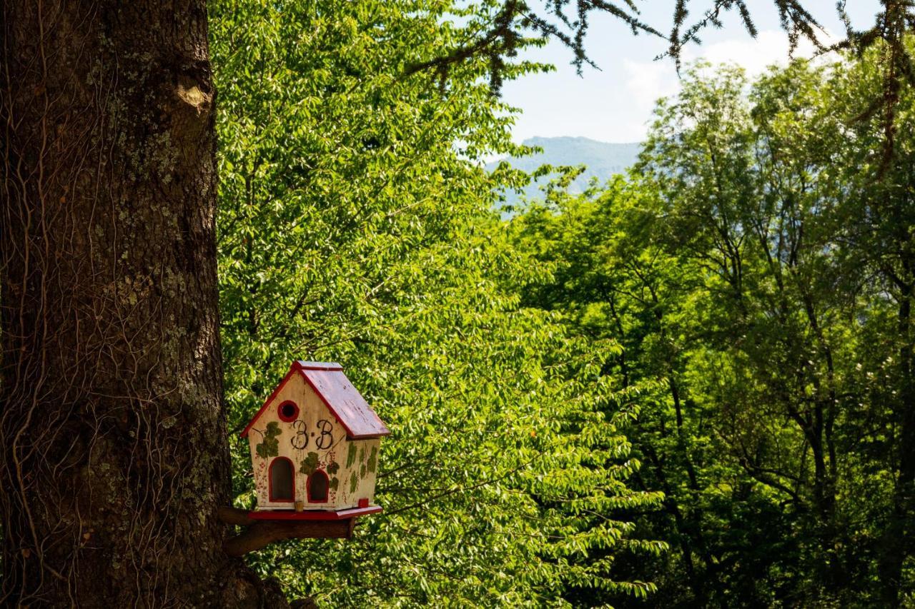 Bed and Breakfast La Demeure Aux Pins Лурд Экстерьер фото